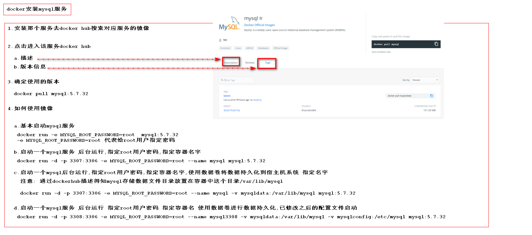 15.docker 运行 mysql 服务