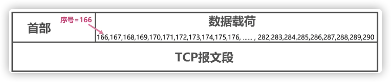 TCP序列号