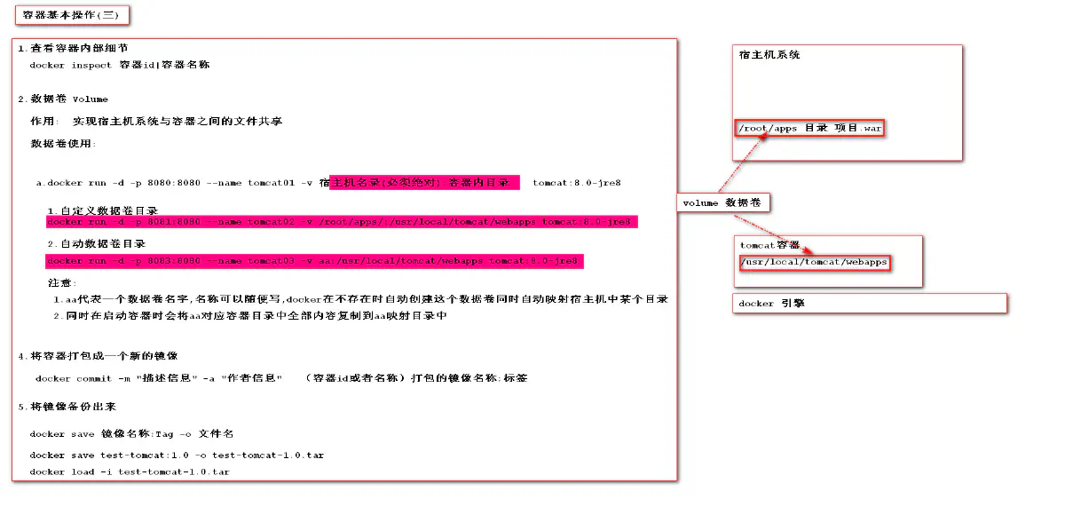 10.容器的基本操作 (三)