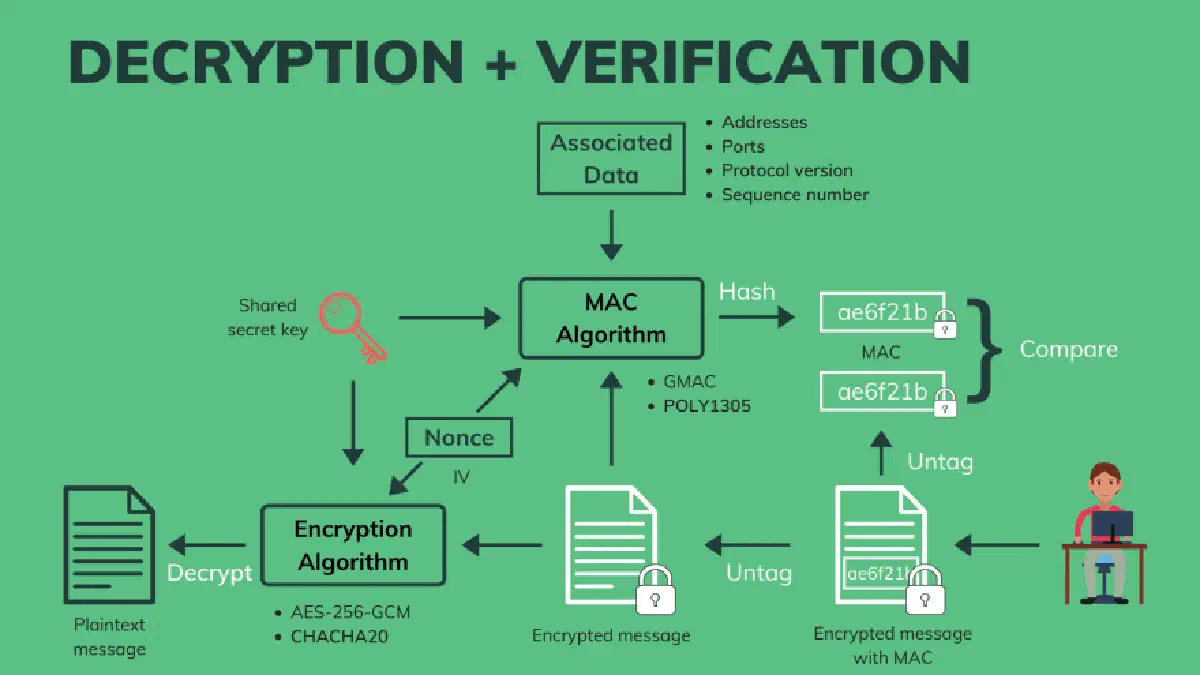 Verify